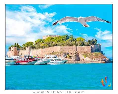 جزیره-کبوتر-کوش-آداسی-ترکیه